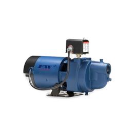 Flint & Walling EK05S Model EK Shallow Well Jet Pump 0.5 HP 115V/230V 1PH nonsubmersible pump, cast iron pump, shallow well jet pump, Flint & Walling shallow jet pump