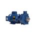 Flint & Walling C22253 Industrial Centrifugal Pump 5.0 HP 208-230/460V Three Phase