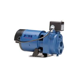 Flint & Walling EK05 Model EK Convertible Jet Pump 0.5 HP 115V/230V 1PH nonsubmersible pump, cast iron pump, convertible jet pump, Flint & Walling convertible jet pump