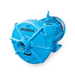 Barmesa IA1 1/2-5-2-1 TEFC End-Suction Centrifugal Pump 5.0 HP 1PH end-suction pumps, centrifugal pumps, Barmesa IA Series, IA Series, Barmesa Pumps,end-suction centrifugal pumps