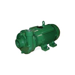 Deming 2X1-1/2X5 ODP Close Coupled Motor Mount Centrifugal Pump 1.0 HP 3PH Deming close coupled end suction pumps, close coupled motor mount pump, centrifugal pump