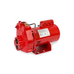 Red Lion RJC-75-PREM Premium Cast Iron Convertible Jet Pump 0.75 HP 115/230V Red Lion Jet Pump, convertible jet pumps, lake pumps, convertible well pumps, well pumps, shallow well pumps, end suction pumps