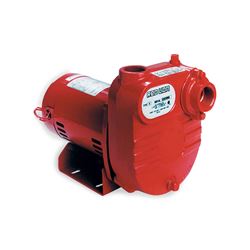 Red Lion RL-S50 Cast Iron Surface Effluent Pump 0.5 HP 115/230V Red Lion effluent Pump, effluent pumps, cast iron eflluent pumps, submersible effluent pumps